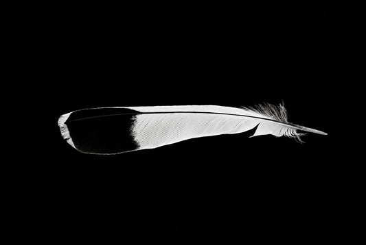 Feather